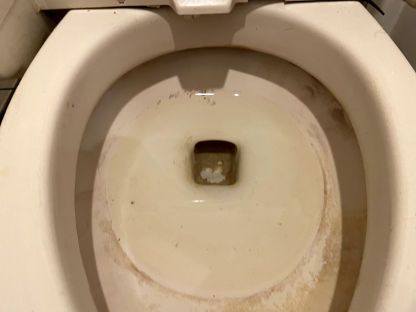 トイレ尿石ビフォー